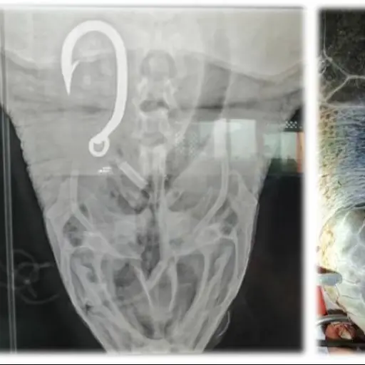 Foto: Zoológico La Aurora