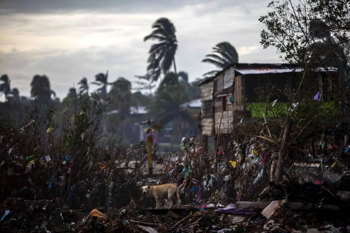 Foto: AFP