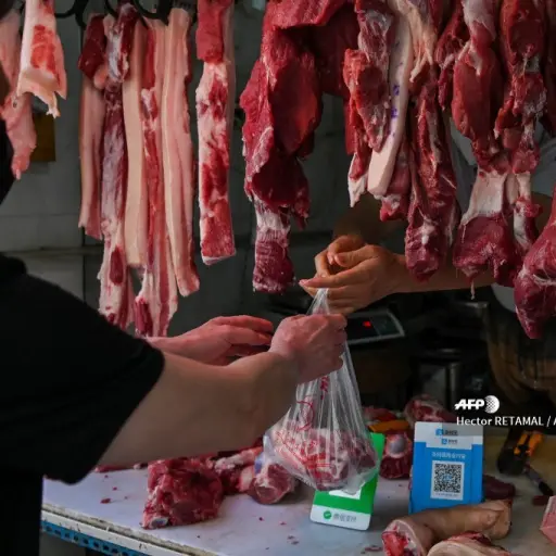 Imagen con fines ilustrativos | AFP