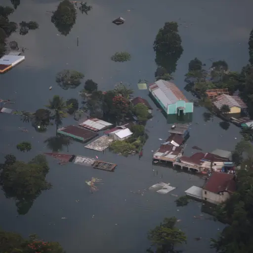 Foto: Edwin Bercián