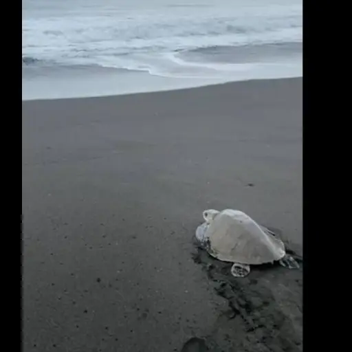 Foto: Zoológico La Aurora