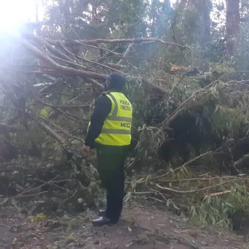 Foto: Municipalidad de Mixco