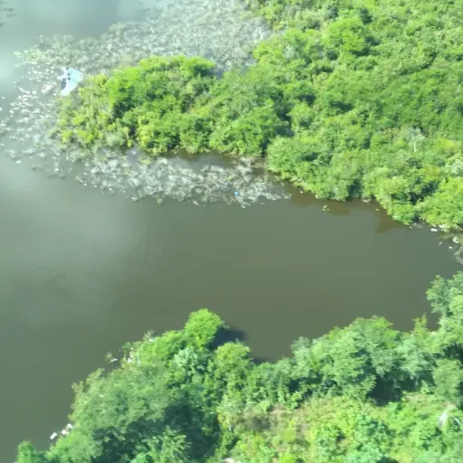 Foto con fines ilustrativos. 