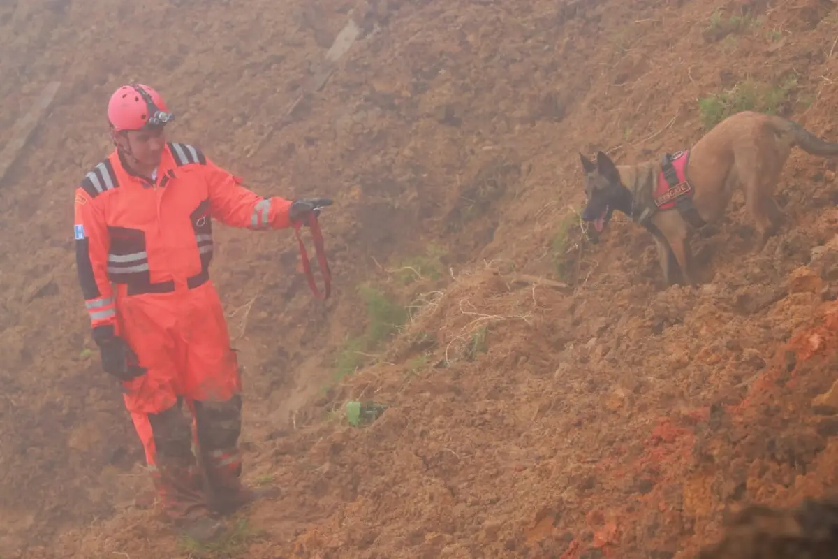 Maya, agente de la patrulla canina
