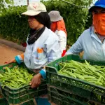 El gabinete de Desarrollo Rural debe crear políticas de desarrollo sostenible. DCA