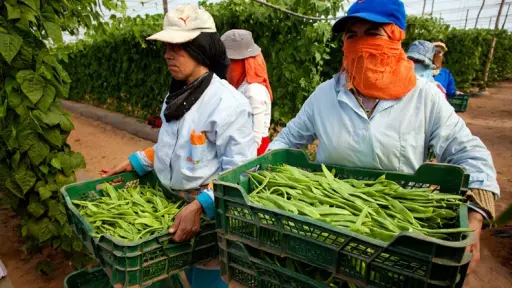 Sin acuerdos para fijación de los salarios mínimos 2027