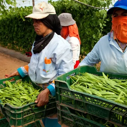 El gabinete de Desarrollo Rural debe crear políticas de desarrollo sostenible. DCA