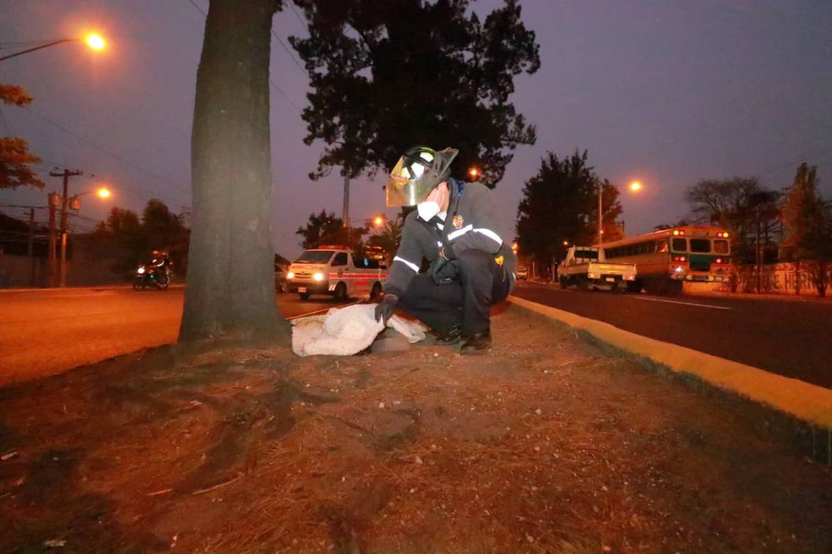 Mujer muere tras ser atropellada en el anillo Periférico