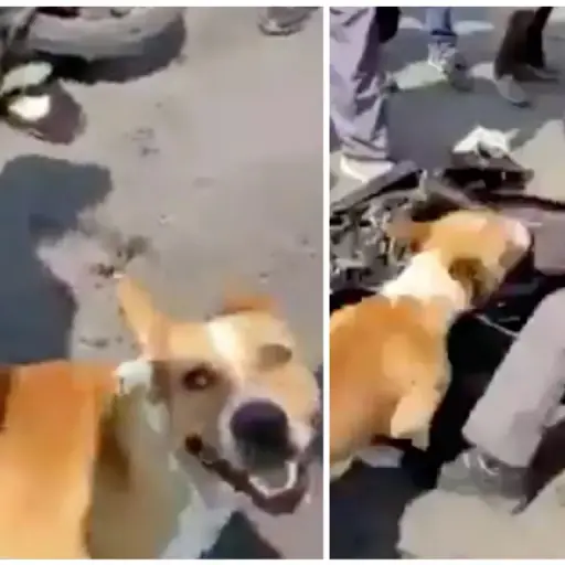 Capturas de pantalla de Twitter