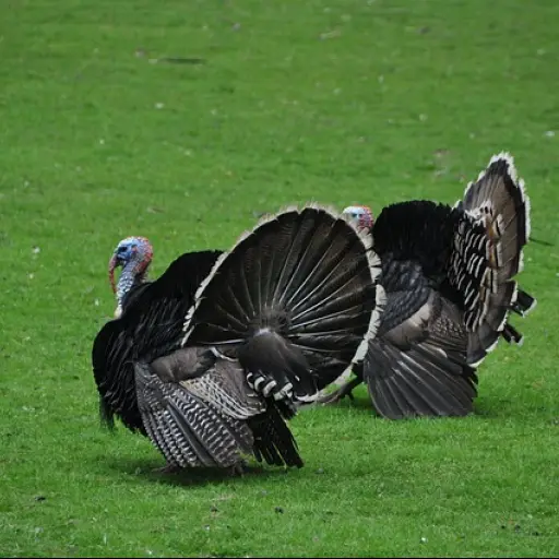 Imagen con fines ilustrativos | pixabay.com