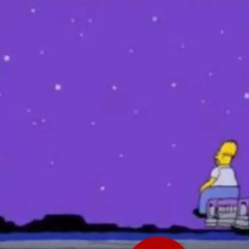 Selena Quintanilla memes ,