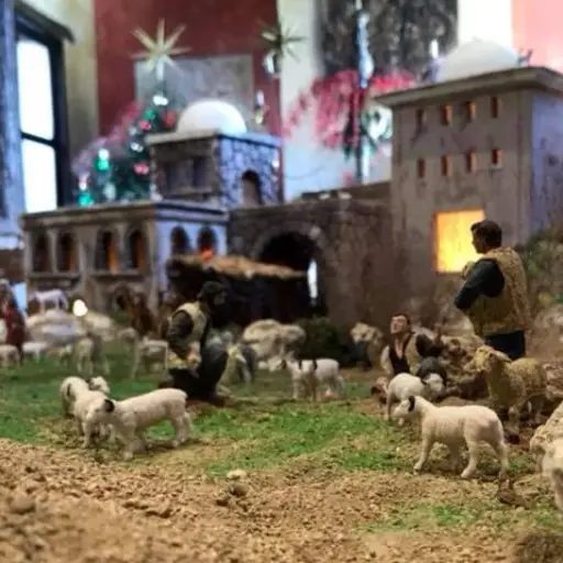 Nacimiento de San Carlos Antigua Guatemala ,