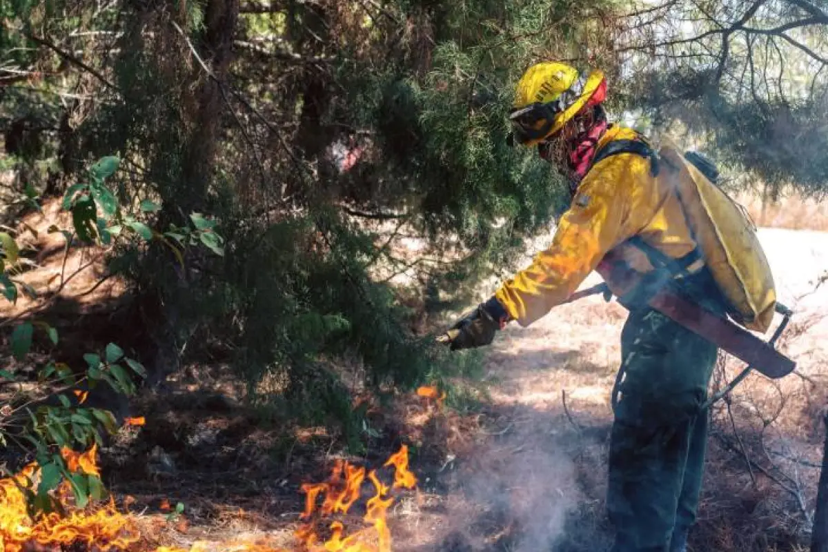 La Conred coordina la atención para apagar incendios. Cortesía