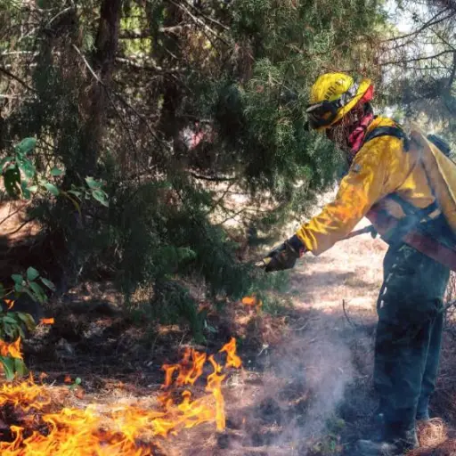 La Conred coordina la atención para apagar incendios. Cortesía