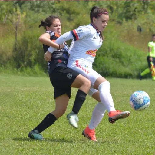 Foto: Cremas Femenino