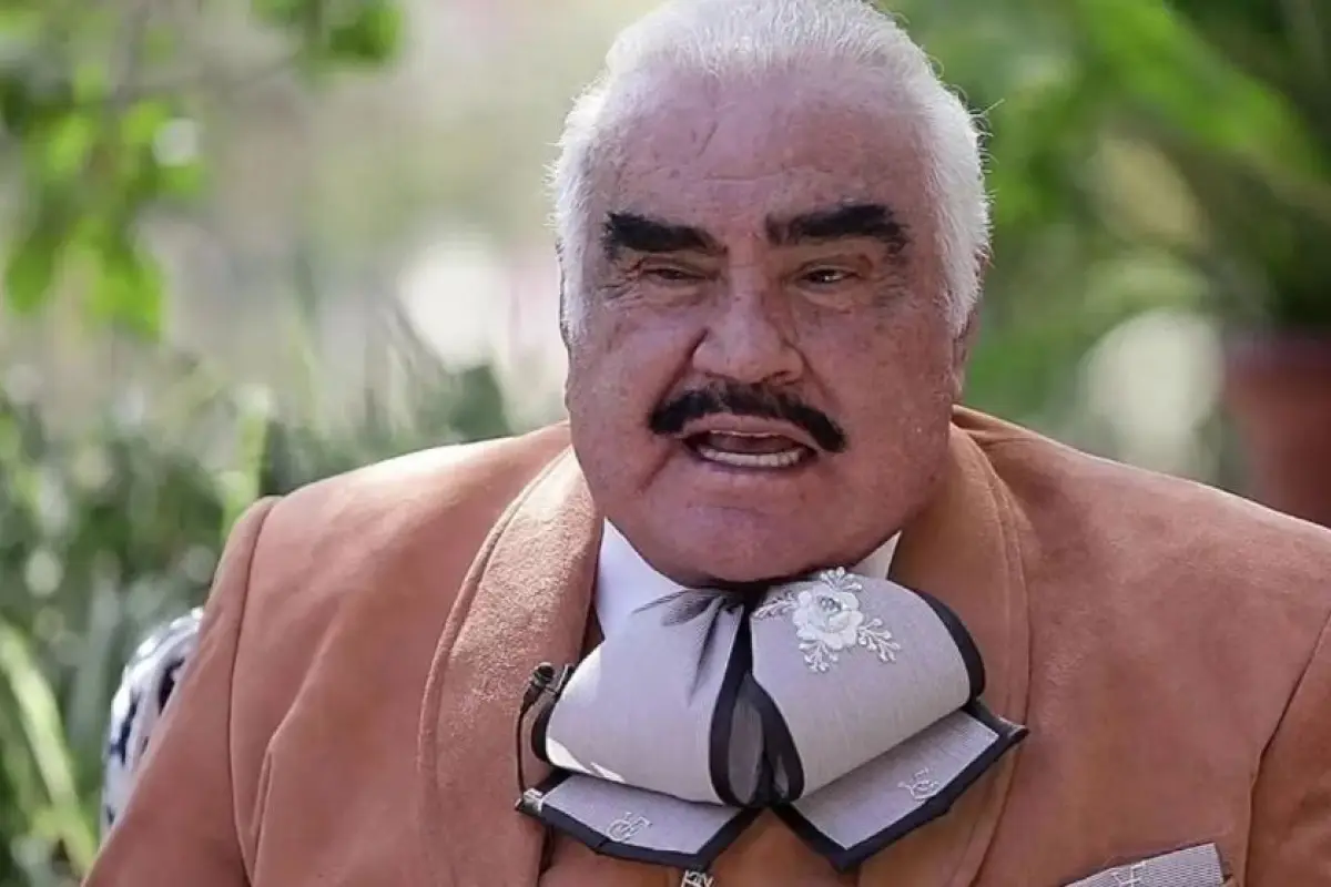 Vicente Fernández memes