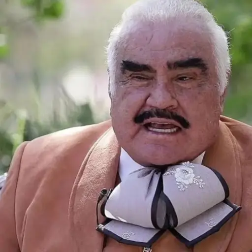Vicente Fernández memes