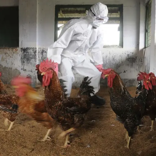 Imagen con fines ilustrativos | AFP