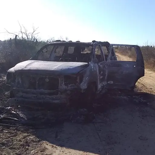 Localizan 19 cuerpos baleados y calcinados en Tamaulipas, México ,