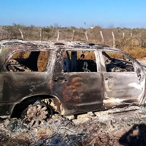 Localizan 19 cadáveres calcinados en Tamaulipas.