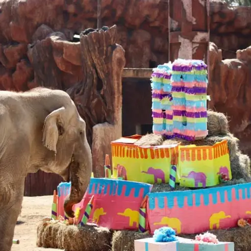 Foto: Zoológico La Aurora