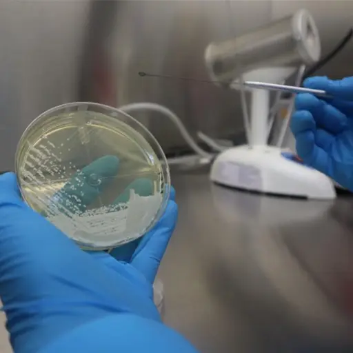 Foto: Ministerio de Salud