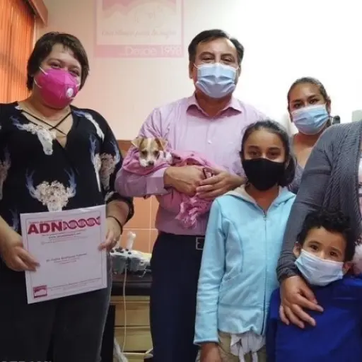 prueba-adn-familia ,