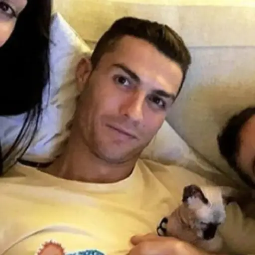 atropellan-a-pepe-gato-cristiano-ronaldo-emisoras-unidas- ,