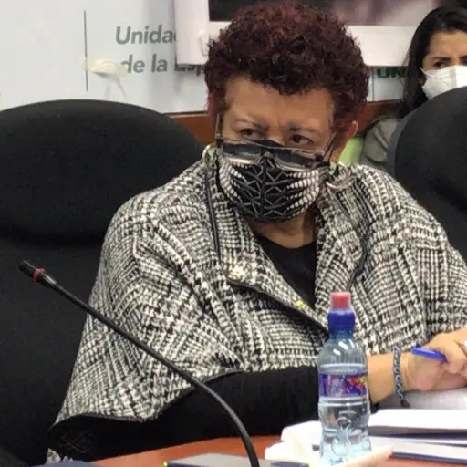 Ministra de Salud, Amelia Flores. Foto: Francisco Pérez