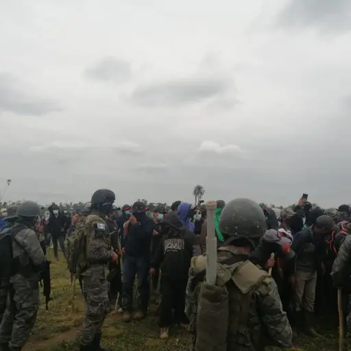 WhatsApp Image 2021-02-21 at 13.16.49 ,