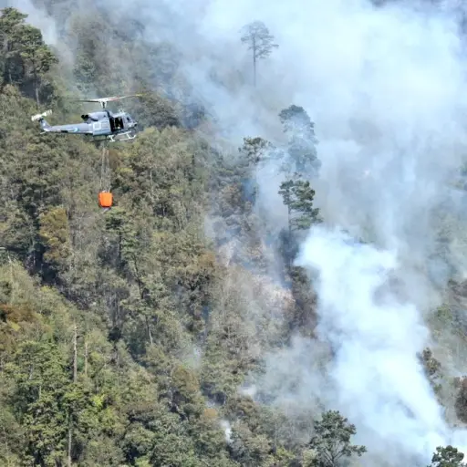 Foto: Ejército de Guatemala
