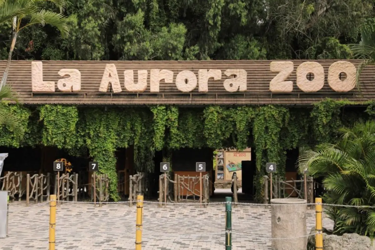 Zoologico La Aurora, 