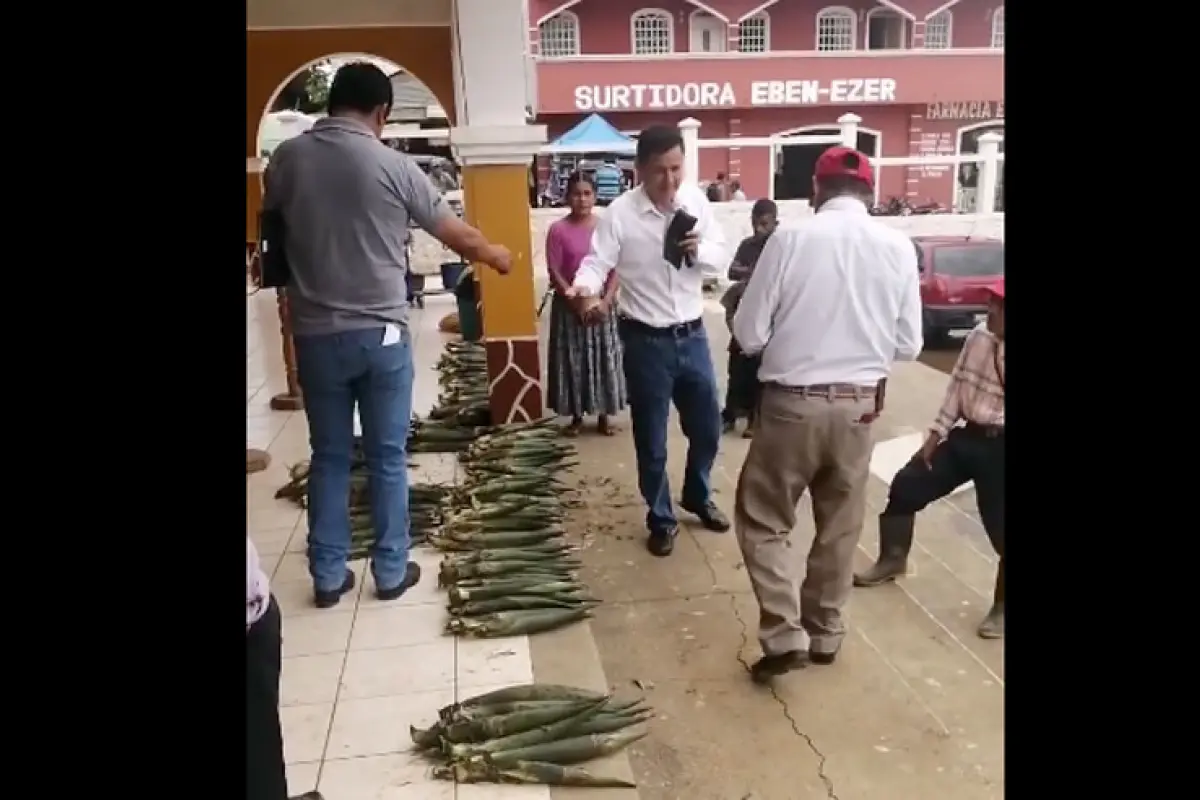 Recaudan dinero en la Municipalidad de Chisec para ayudar a detenidos por extraer pacayas, 