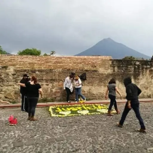 alfombra-flores-antigua ,