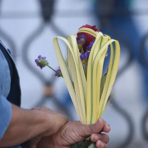 Domingo de Ramos en Guatemala ,