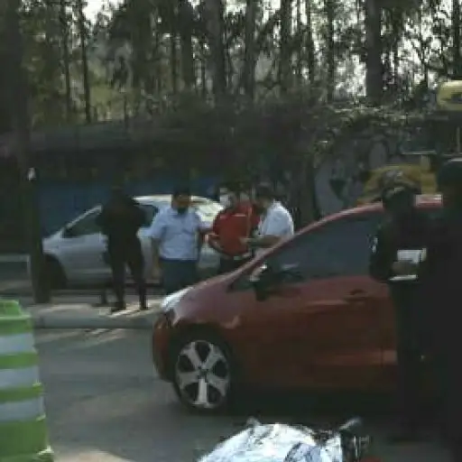 Foto bomberos Municipales