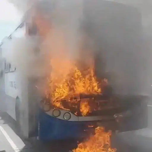 Foto: PMT capitalina