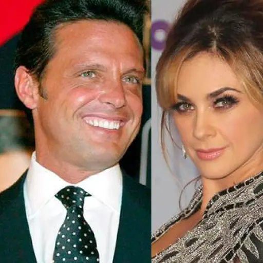Aracely Arambula Luis Miguel ,