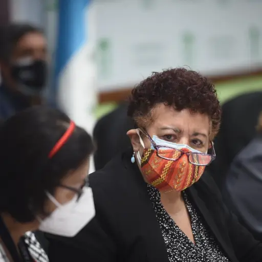 Ministra de Salud, Amelia Flores ,