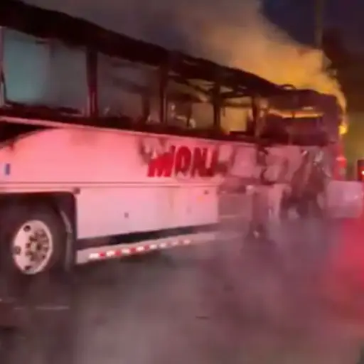 Foto: Captura de pantalla