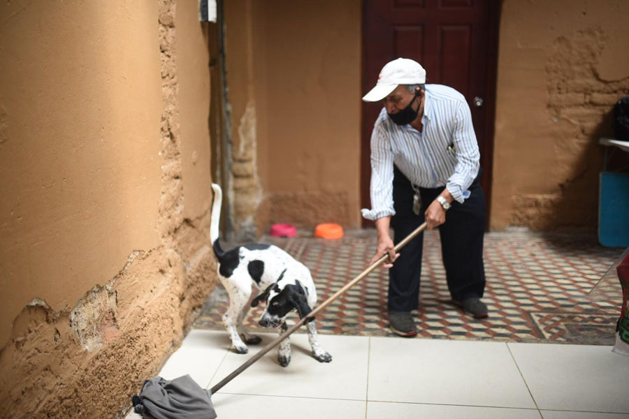 pedro-osoy-abuelitos-heladeros-5 | 