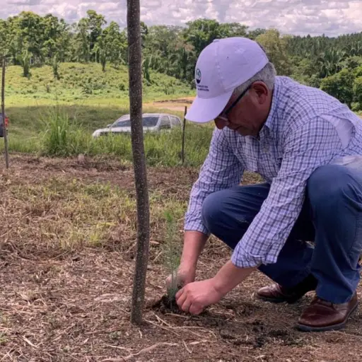 Licores de Guatemala ,