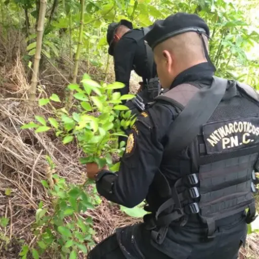 Foto: PNC de Guatemala. 