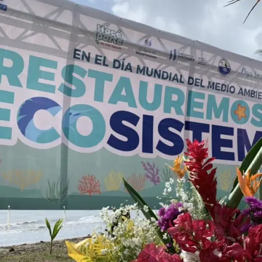 Administración de Alejandro Giammattei promueve jornada de limpieza.