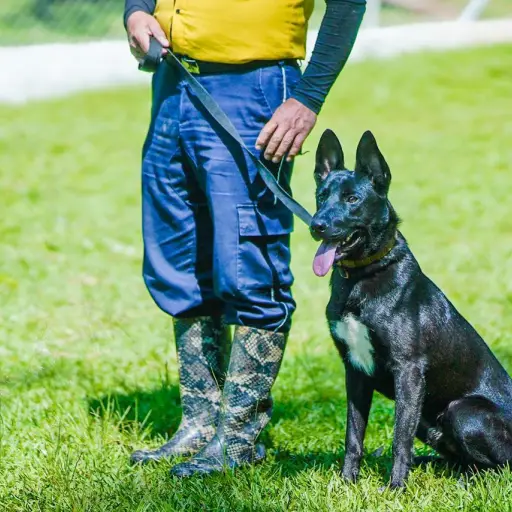 Foto: Municipalidad de Santa Catarina Pinula