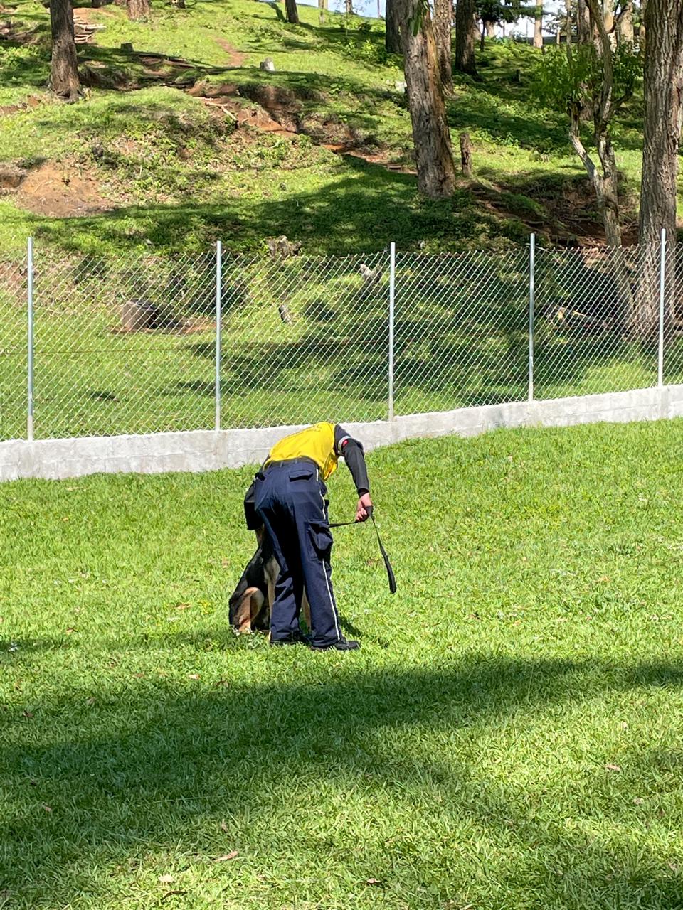 unidad-k9-policia-municipal-santa-catarina-pinula-4 | 