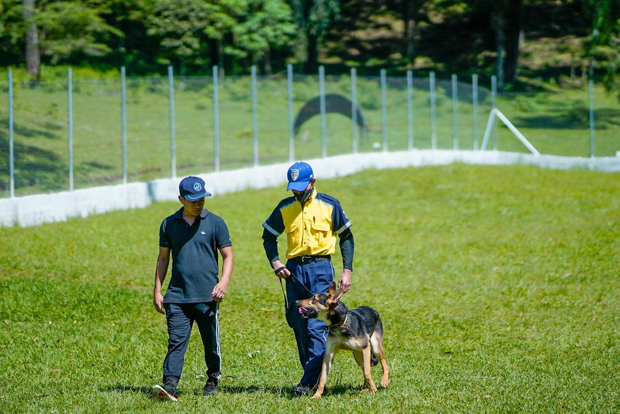 unidad-k9-policia-municipal-santa-catarina-pinula-6 | 