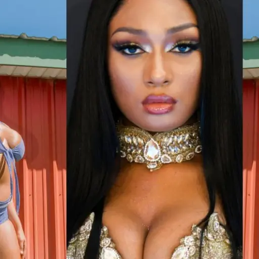 Megan Thee Stallion ,