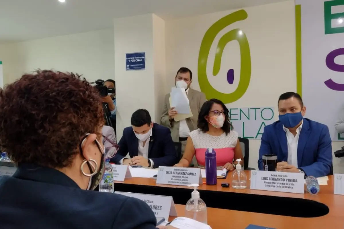 Amelia Flores, ministra de Salud, acude a citación con miembros de la bancada Semilla.