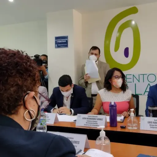 Amelia Flores, ministra de Salud, acude a citación con miembros de la bancada Semilla.